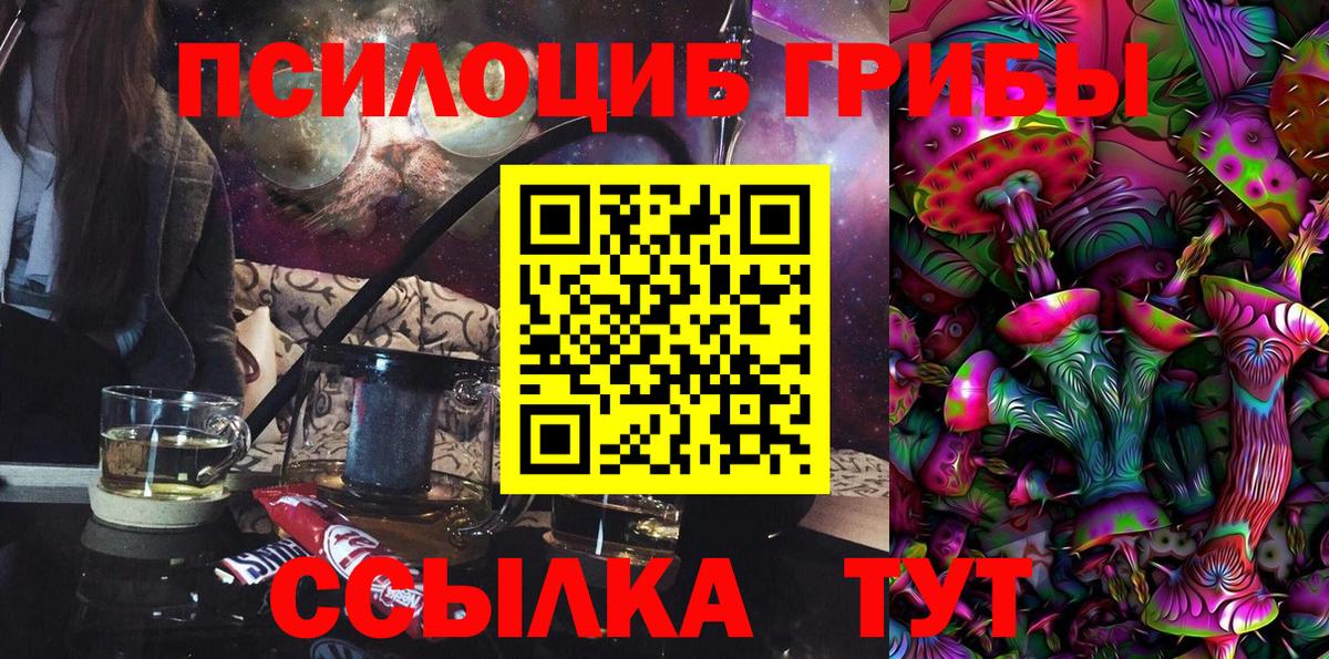 Галлюциногенные грибы Psilocybe  Вход с VPN  Псилоцибиновые грибы мицелий  Изобильный 