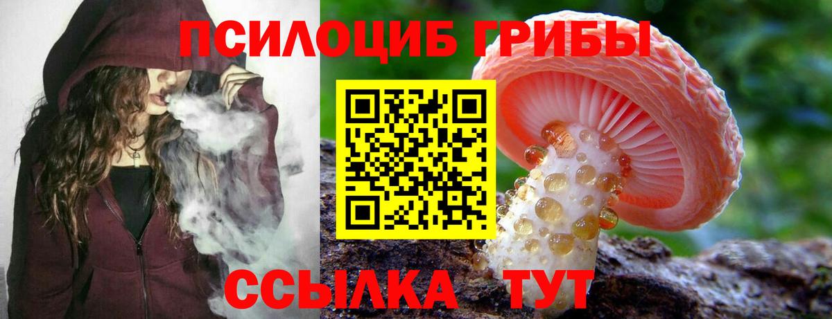 Псилоцибиновые грибы ЛСД Изобильный