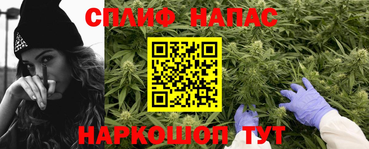 Конопля OG Kush  Канабис план  Шишки марихуана семена  Вход с VPN  Изобильный  Шишки марихуана конопля 